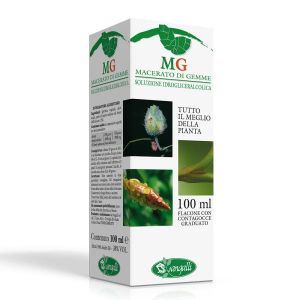 Sangalli Sequoia Macerato di Gemme 100ml