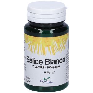 Salice Bianco 60 Capsule