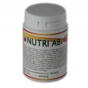 Nutri AB Supplement 60 Tablets