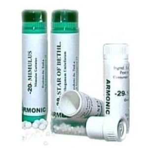 Tesla Armonic 13 Gorse 70g