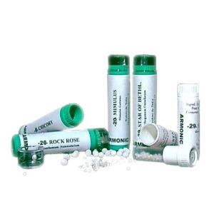 Tesla Armonic 37 Wild Rose Bach Flowers 70g