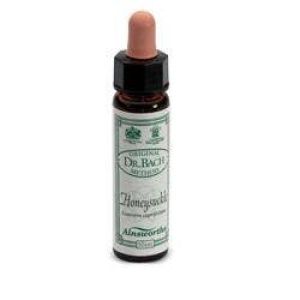 Ainsworths Honeysuckle 10ml
