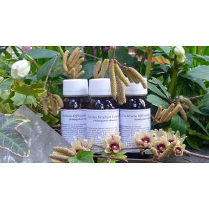 81 C Satureja Montana Compositum Labor Villa Stoddard 60ml