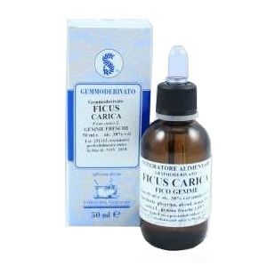 Sarandrea Marco Ficus Carica Gemme Glyceric Macerate 100ml