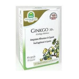 Nh Ginkgo Biloba 40 Capsule