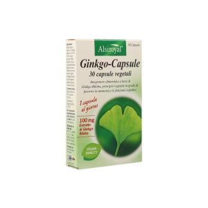 Ginkgo Capsule 30 Capsule