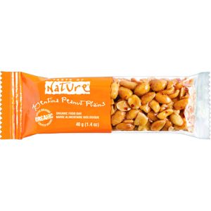 Taste Of Nature Organic Vegan Peanut Bar High Con