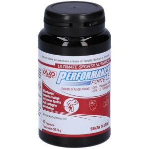 Performance Forte 70 Capsule Flacone 53,9g
