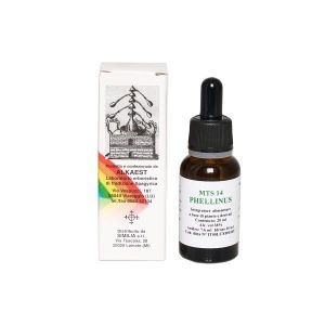 Similia Mts 14 Phellinus Gocce Integratore 10ml