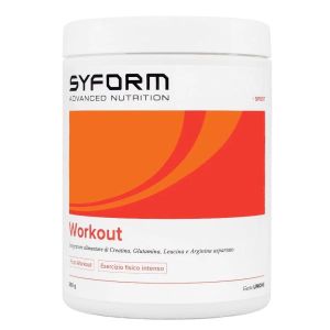 Workout Limone Polvere 360g