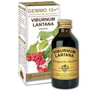 Dr. Giorgini Viburno Liquido Analcolico 100ml