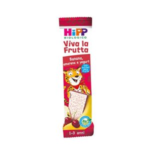 Barretta Alla Frutta Hipp Biologico Banana Amarena Yogurt 23g