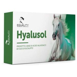 Hyalusol Aerosol Ambientale per Equini 10 Flaconi  da 8ml Globuli Contenitore MONOdose