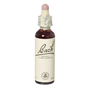 Schwabe Pharma Chestnut Bud Fiori Di Bach Original Rimedio Fitoterapico 20ml