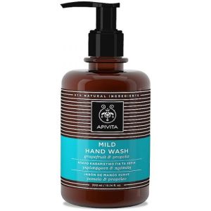 Apivita Delicate Hand Cleanser 300ml