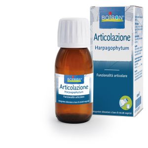 BOIRON HARPAGOPHYTUM ES I 60ML INT