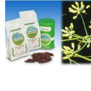 Finocchio Dolce Tt 1000g