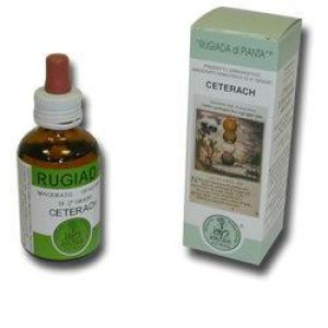Ceterach Astrum Rugiada 50ml
