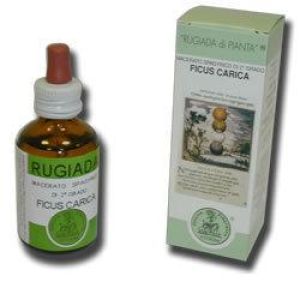 Nuova Astrum Rugiada Ficus Carica 50ml