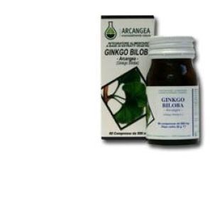 Ginkgo Biloba 60 Capsule 500mg
