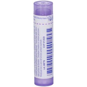 Guaiacum  Boiron  80  30 Ch   4g Granuli Contenitore MULTIdose