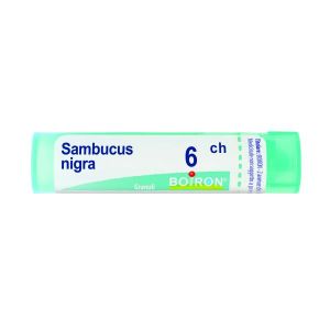 Sambucus Nigra  Boiron  6 Ch  1   4g  80  Granuli Contenitore MULTIdose