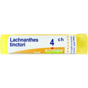 Lachnanthes Tinctoria  Boiron  80 Granuli 4 Ch Contenitore Multidose