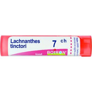 Lachnanthes Tinctoria  Boiron  80 Granuli 7 Ch Contenitore Multidose