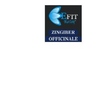 Efit Zingiber Officinale Estratto Fluido 30ml