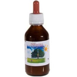 Incenso & Mirra Flowers Of Life