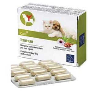 Immun 60 Compresse