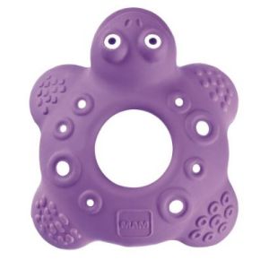 Mam Dentaruolo Tartaruga Bob 5 Mesi