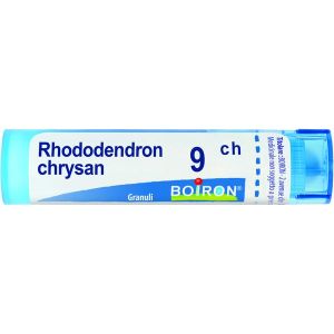 Boiron Rhododendron Chrysanthum 9ch Tubo Granuli 4 G.