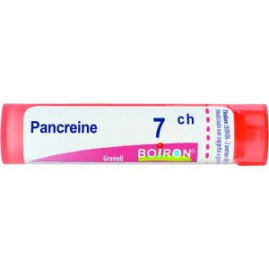 Boiron Pancreine Granuli 07ch Tubo 4g