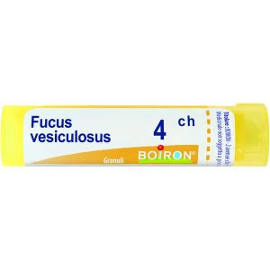 Boiron Fucus Vesiculosus Granuli 04ch Tubo 4g