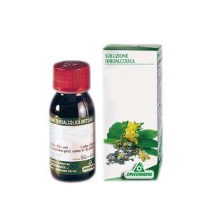 Specchiasol Soluzione Idroalcolica 26 Verga D'oro 50ml