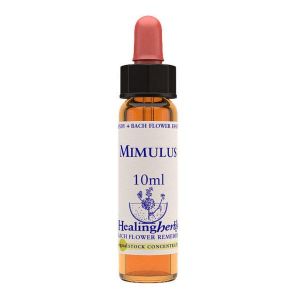 Mimulus Essenza 10ml 1 Pezzo