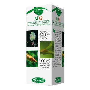 Tiglio Argentato Macerato di Gemme 100ml