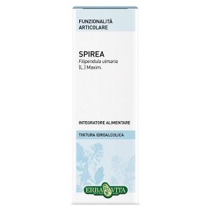 Spirea Ulmaria Tintura Idroalcolica 50ml Ebv