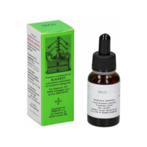 Mgs9 Ippocastano Macerato Glicerico Spg 20ml