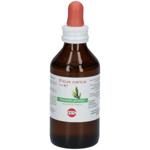 Ficus Carica Macerato Glicerico 100ml