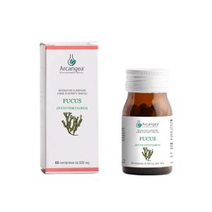 Fucus 60 Capsule 500mg