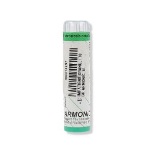 Armonic 18 Impatiens 70gr