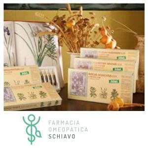 Santiveri Equisetum Arvense Compositum 12 Flaconcini da 5 ml