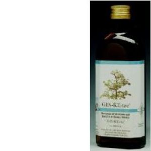 Gin-ke-tze Idromele Vegetal Progress 200ml