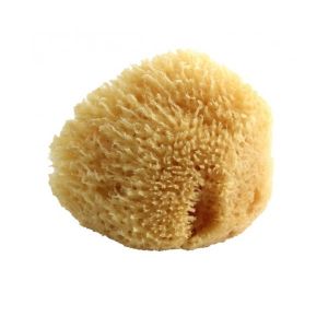 Spugna Naturale Media 1 Pezzo