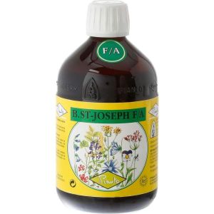 Bio-export Lievito Bio-st-joseph F/a 510g