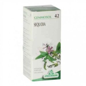 Specchiasol Gemmosol 42 Sequoia Gemmoderivato 50ml