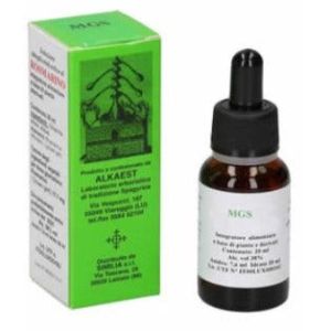 Mgs23 Carpino Macerato Glicerico Spg 20ml