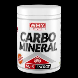 Whysport Carbo Mineral Arancia 400g